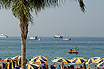 Palm Auf Dem Strand Cannes Riviera