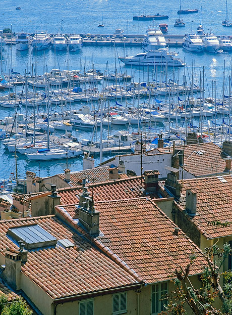 Apartments near the port of Cannes photo